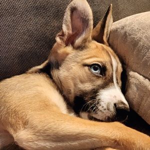 Meet your Posher, Veronica